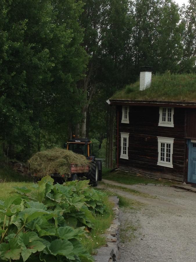 Ivaregga Vinterstua Tolga Exterior photo
