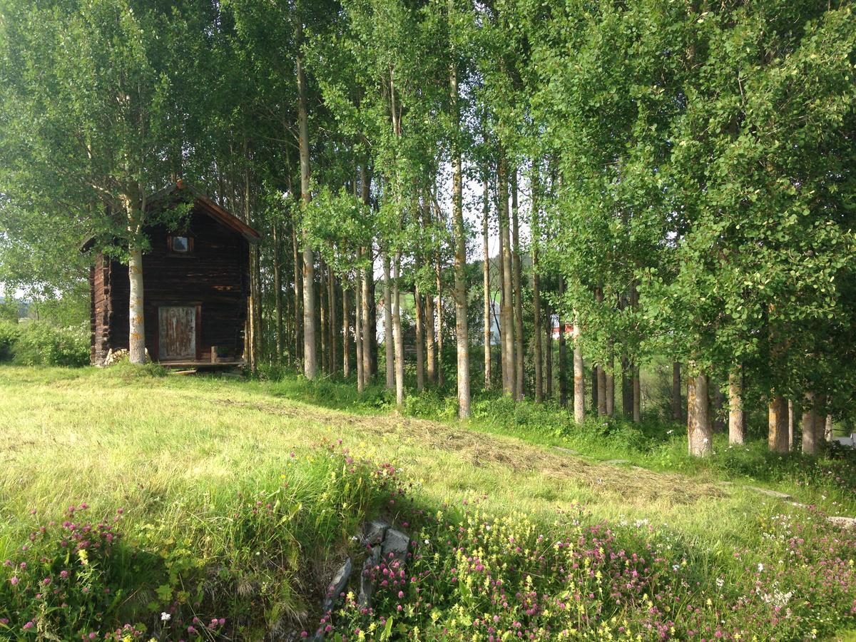 Ivaregga Vinterstua Tolga Exterior photo